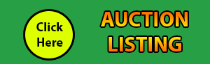 auction listing button