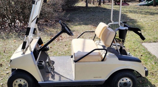 golf cart auction