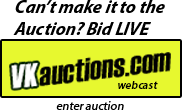 VKauctions webcast button